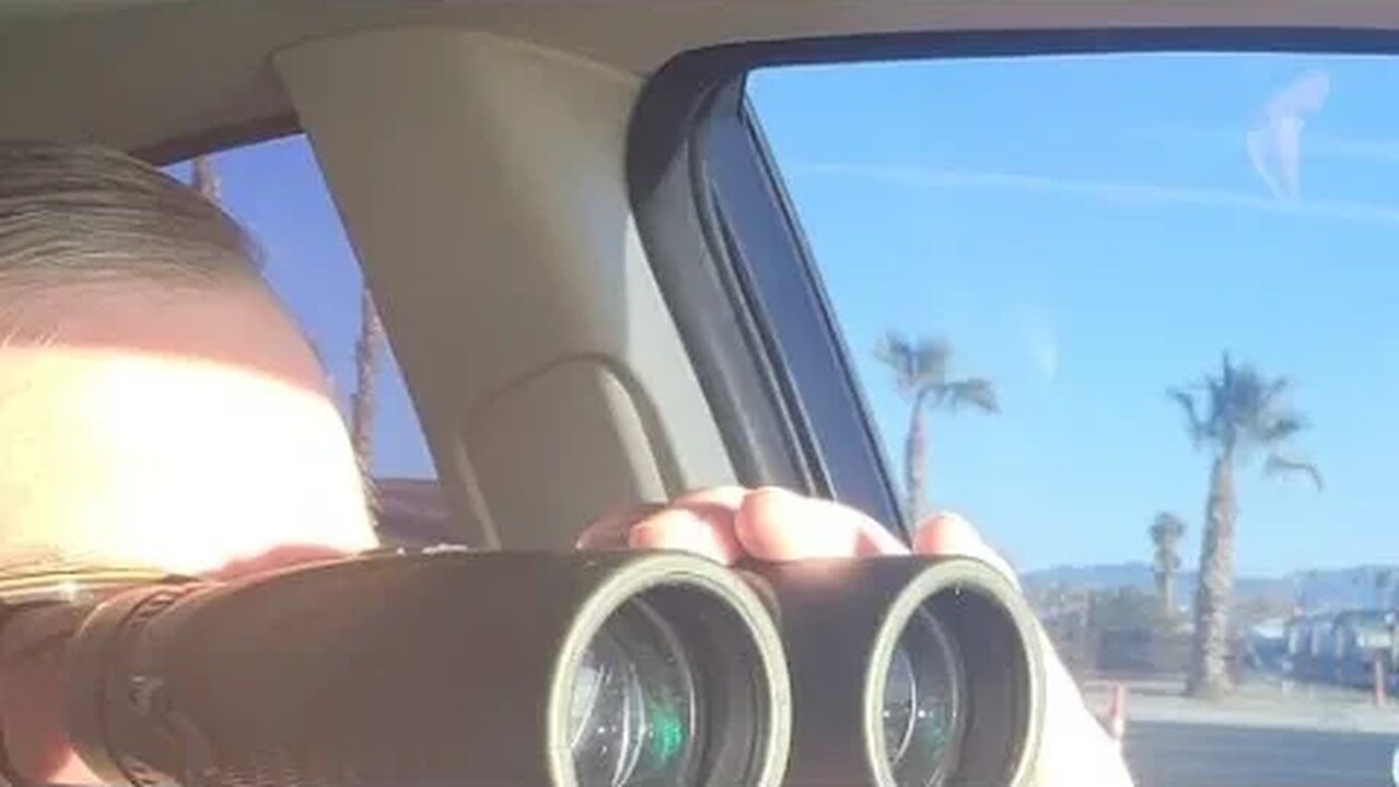 Searching For Tony Pizza