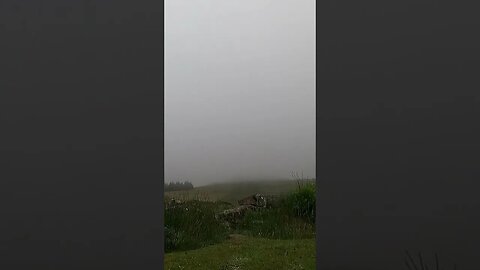 Early morning mist at Belever Tor . night hiking until dawn. GoPro.