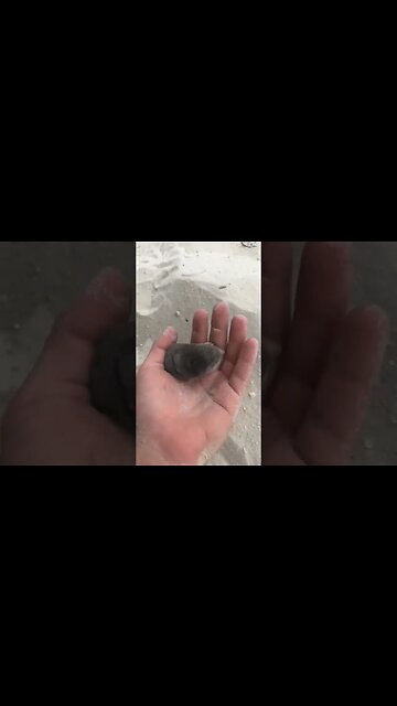 Mole man can't stop digging 😚