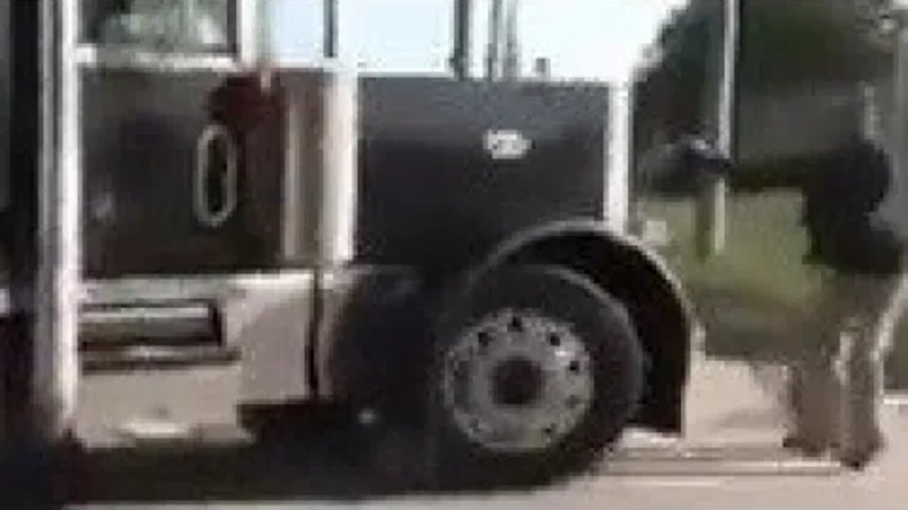 Vegans try to stop a semi-truck