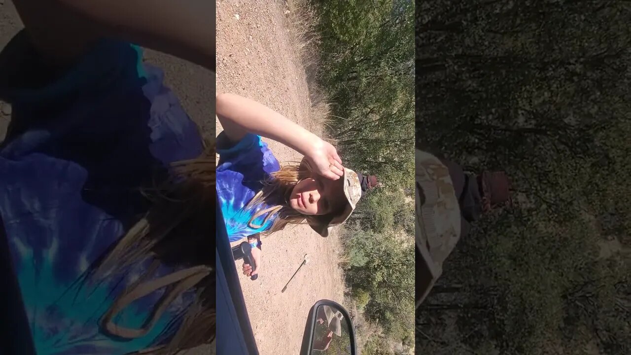 metal detecting Cochise county.