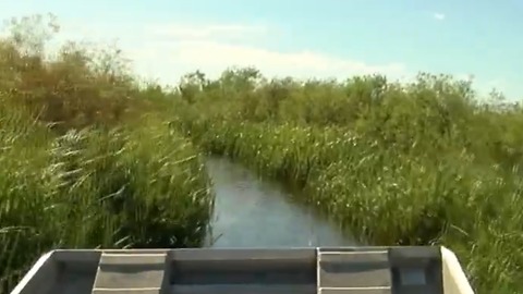 How to keep Lake Okeechobee clean?