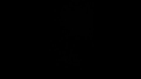 How to pronounce vivacity