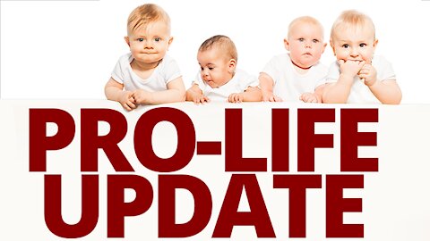 The Vortex — Pro-Life Update