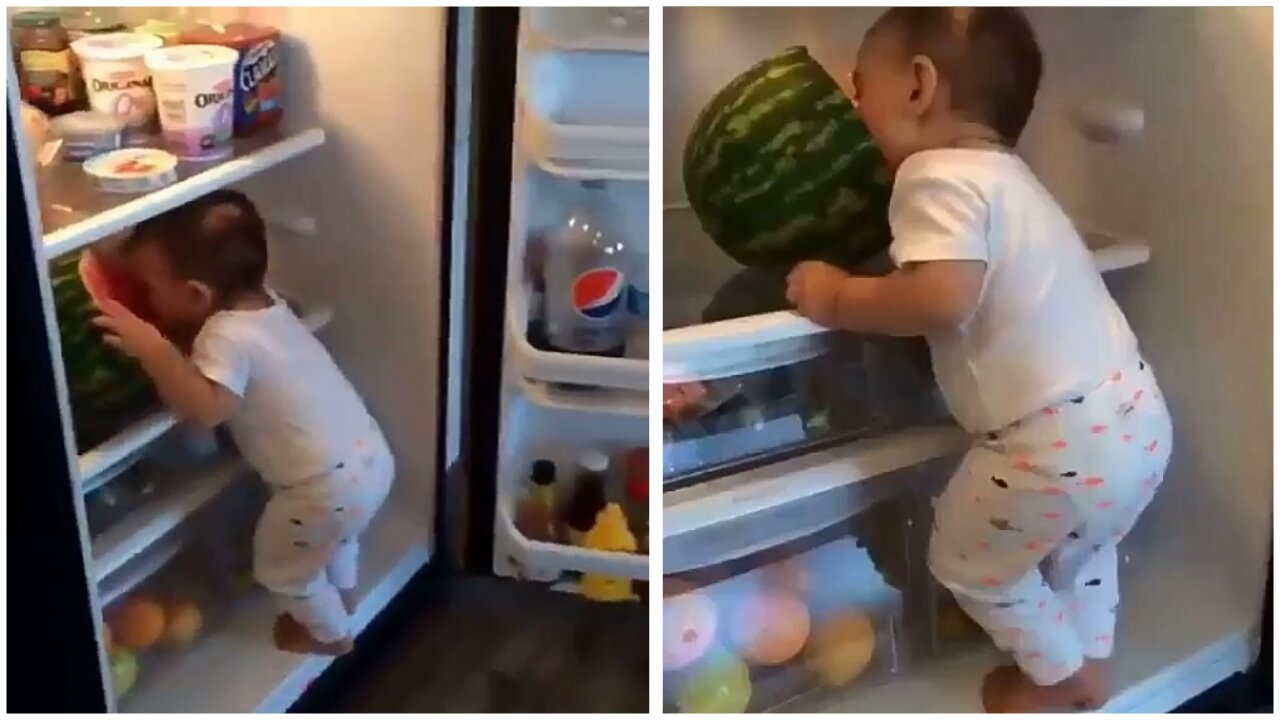 Spider kid pounces on a fridge