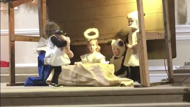 Little Actress Liberates Baby Jesus During Christmas Play