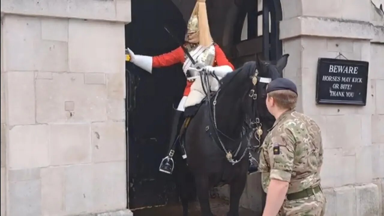 Horse bleeding from a scratch in side the nose #horseguardsparade