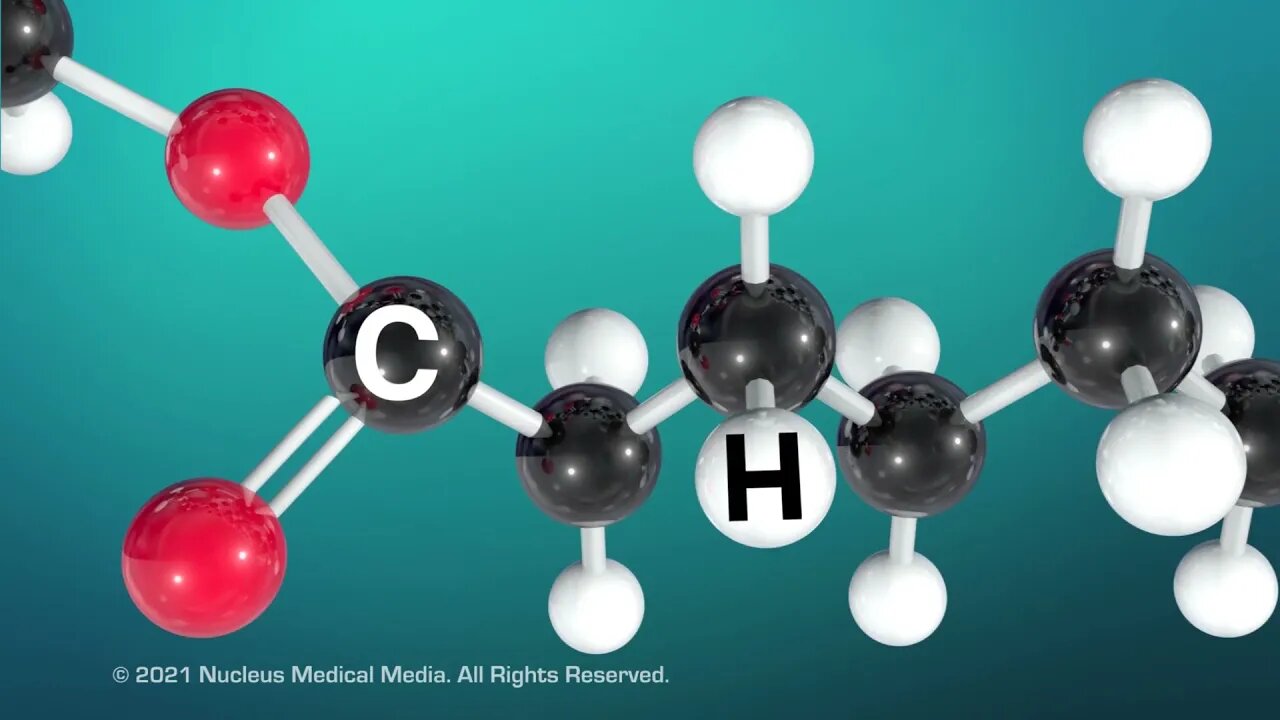 Lipids