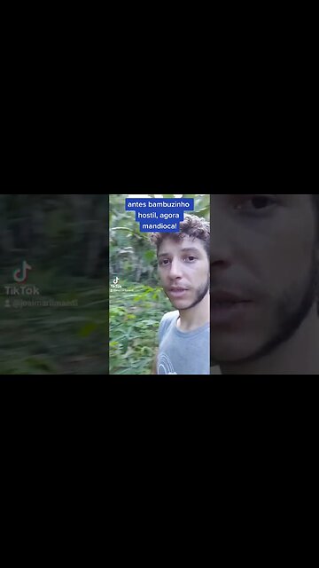 momentos no reino - mandioca e bambuzinho