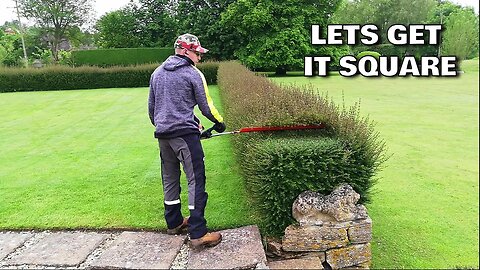 AMAZING Hedge Recovery, Trimming An Overgrown FORMAL HEDGE.