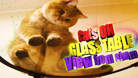 The only way to buy a glass table :)