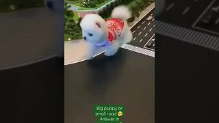 like,share,comment,follow #baby#youtube#content#viral#like#share#comment#follow#pets#cats#dogs#funny