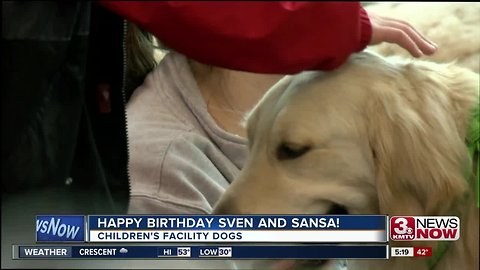 Children's hospital dogs