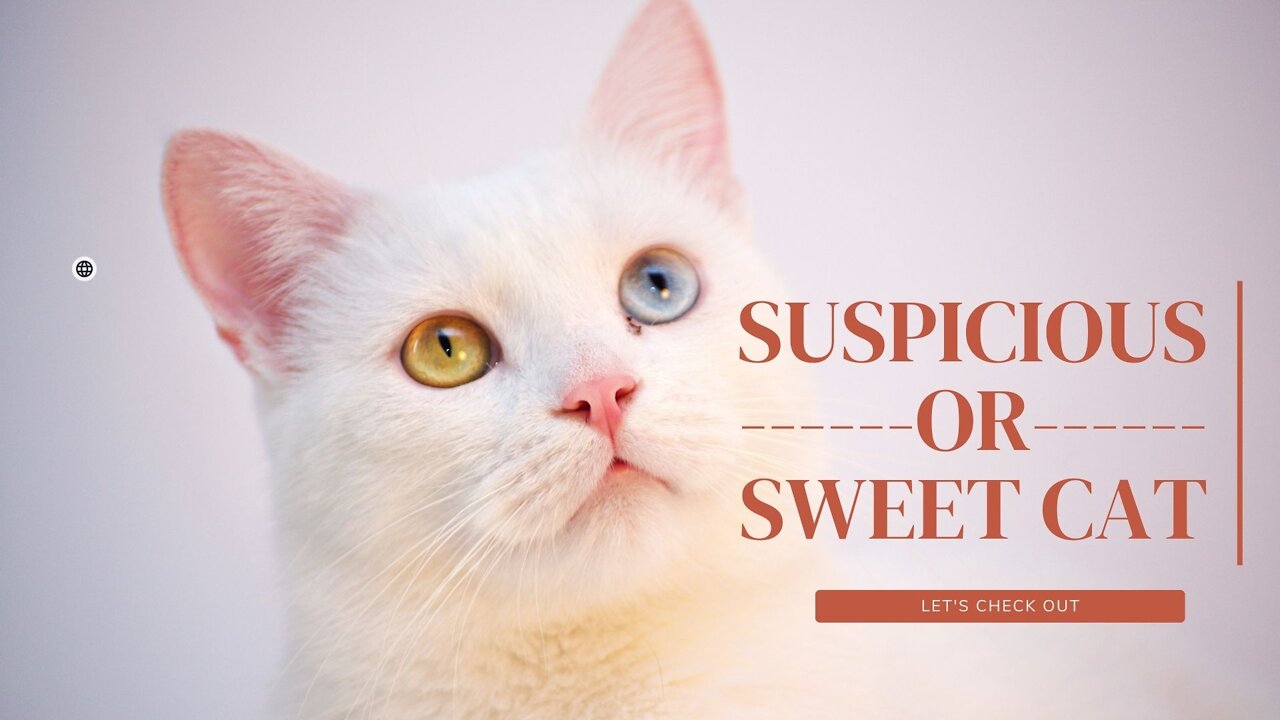 SUSPICIOUS OR SWEET ? LET'S CHECK OUT.