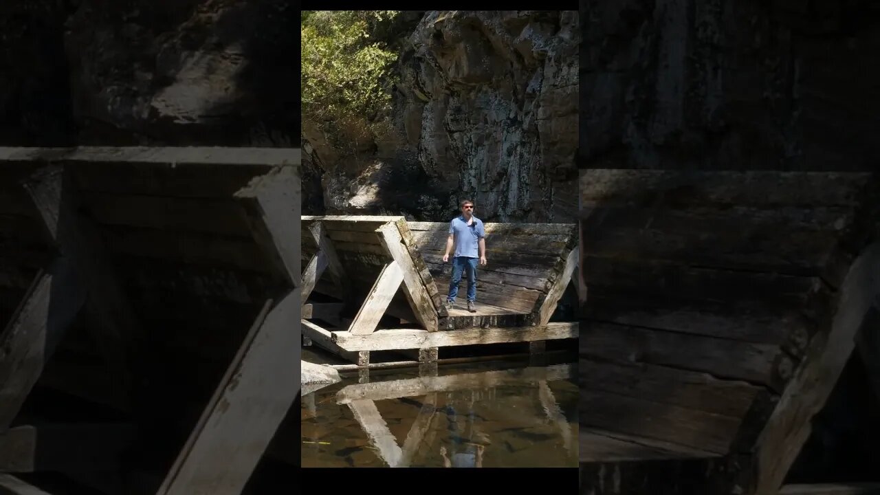 Hawk Lake Log Chute In Algonquin Highlands #short #shorts #shortvideo #hiking #shortsvideo