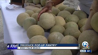 Produce pop-up pantry in West Palm Beach