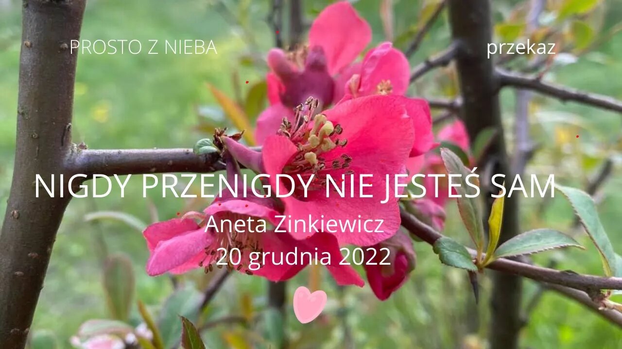 NIGDY PRZENIGDY NIE JESTEŚ SAM ANETA ZINKIEWICZ SD 480p