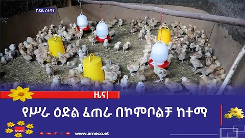 የሥራ ዕድል ፈጠራ በኮምቦልቻ ከተማ