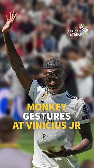 MONKEY GESTURES AT VINICIUS JR