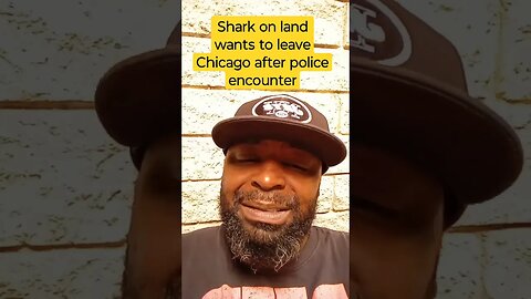 shark on land wants to leave Chicago after police encounter #lofrmdago #chicago
