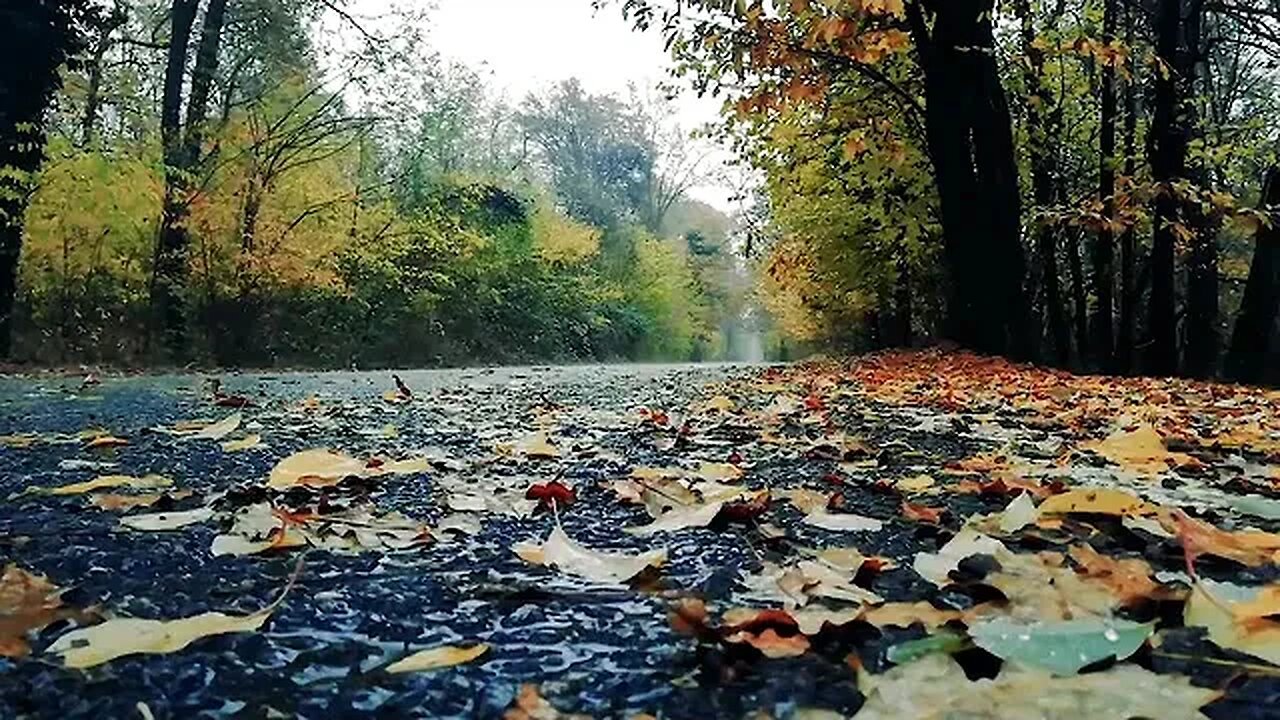 Take a Mental Vacation with the Sounds of a Gentle Rainfall