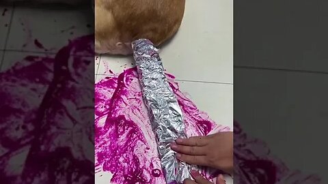 Dog with pitaya to dye hair absolutely unique child! # the sea!