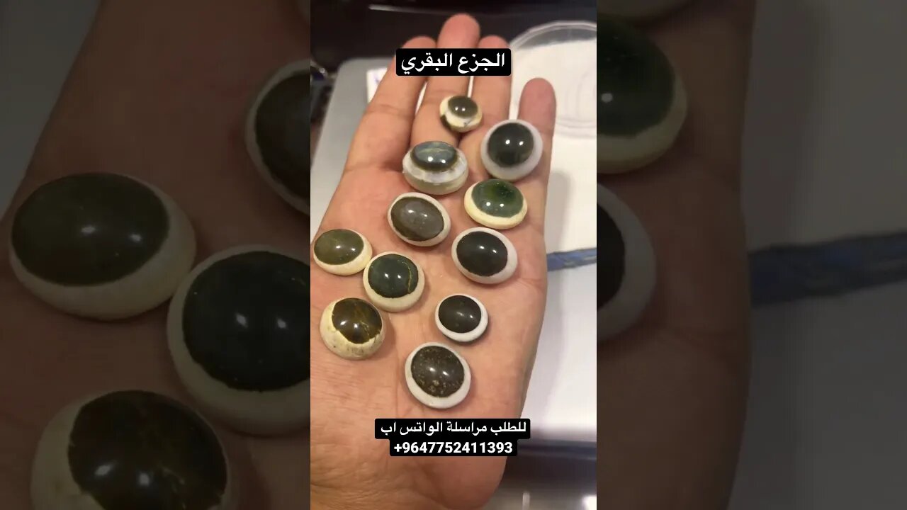 جزع بقري