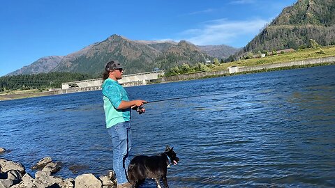 Bank Fishing Shad BEATDOWN!