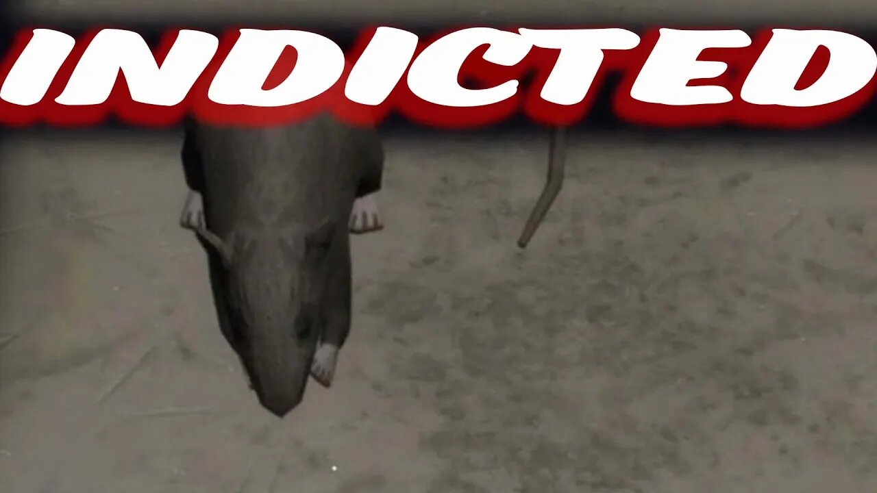 The Rat | Indicted Part 2