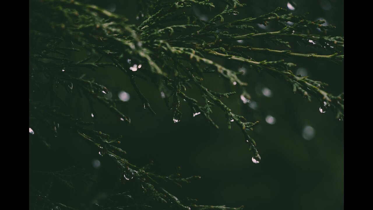 a sound for you to meditate, relax or have a peaceful sleep