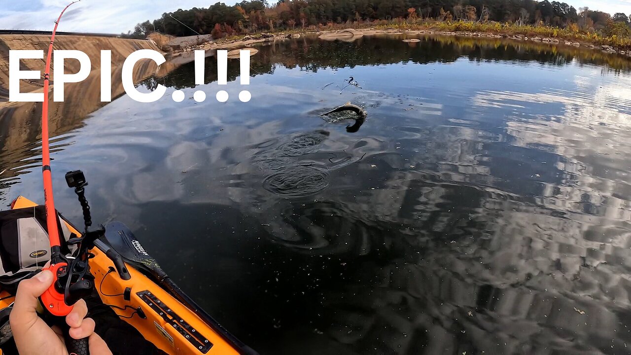 CRAZY !!!!!!. LONG NOSE GAR : SHAKES MY UMBRELLA RIG AND CUTS MY LINE ON THE WAY DOWN!!!!!!!!!