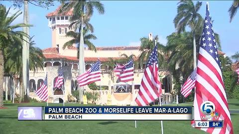 Palm Beach Zoo moves charity event from Mar-a-Lago