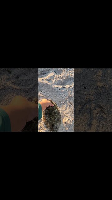 Dont use Trebles to your Jighead because...