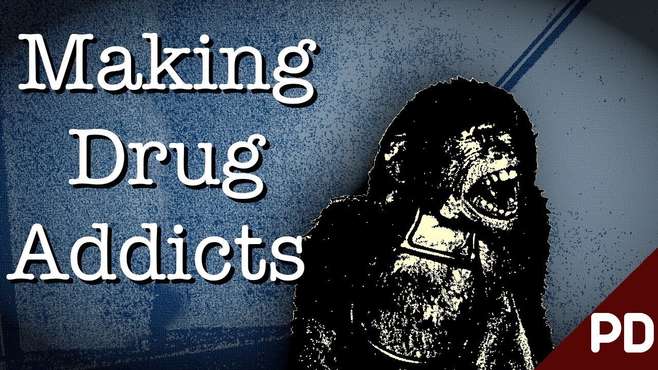 The Dark Side of Science: The Horrific Monkey Drug Experiment 1969