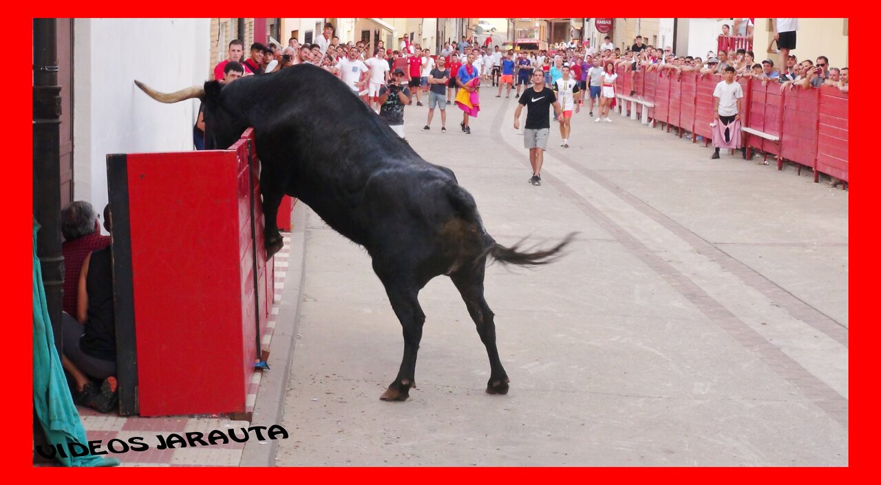 CADREITA ( NAVARRA ) TARDE Y NOCHE VACAS EN CALLE ( DOMINGO 17 JULIO 2022 ) ADRIAN DOMINGUEZ