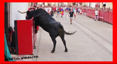 CADREITA ( NAVARRA ) TARDE Y NOCHE VACAS EN CALLE ( DOMINGO 17 JULIO 2022 ) ADRIAN DOMINGUEZ