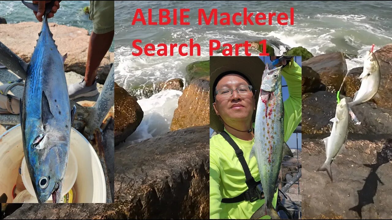 Early September ALBIE Search 2023, My 1ST Spanish Mackerel!!!!🔥🔥🔥PART 1