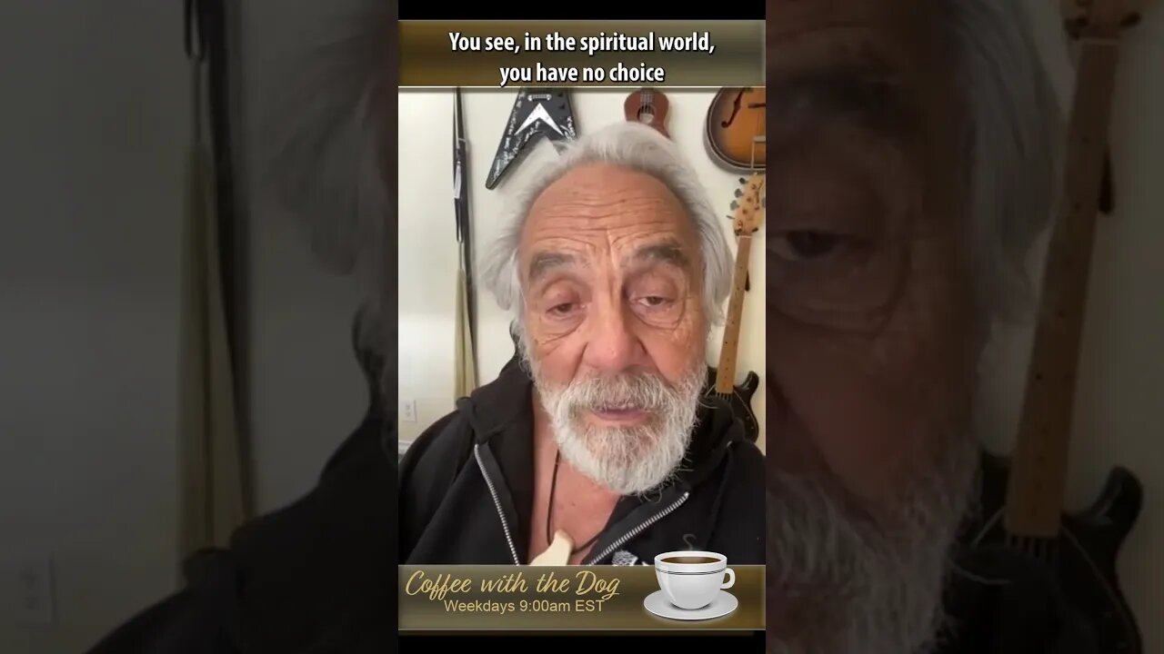 Tommy Chong Gets Philosophical #shorts