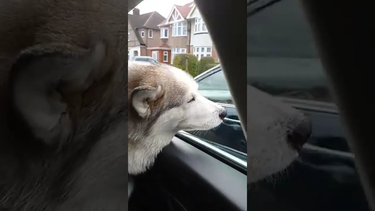 Too old to run but never too old to feel the wind on her face
