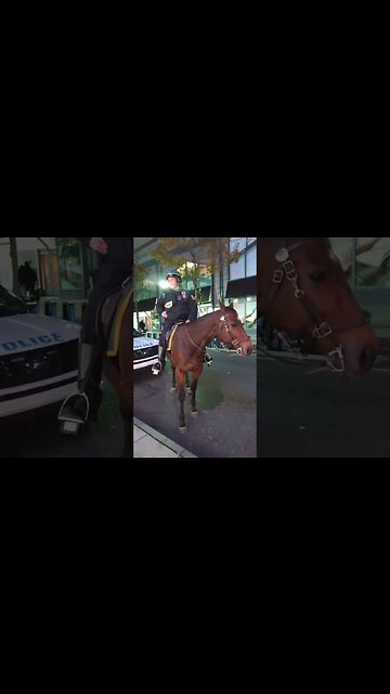 Captain at Uni qlo. philadelphia, pa.