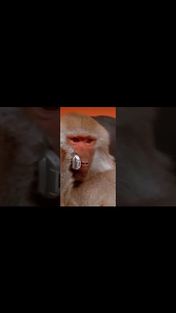 How your ex really feels...