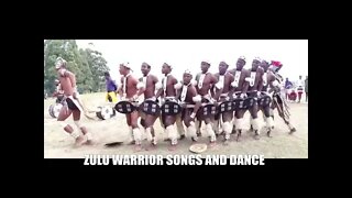 ZULU WARRIOR DANCE 1 #Shorts
