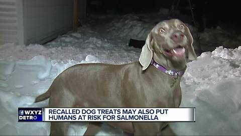 Recalled dog food and treats could give humans salmonella