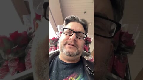 I Have A Mouse in My House