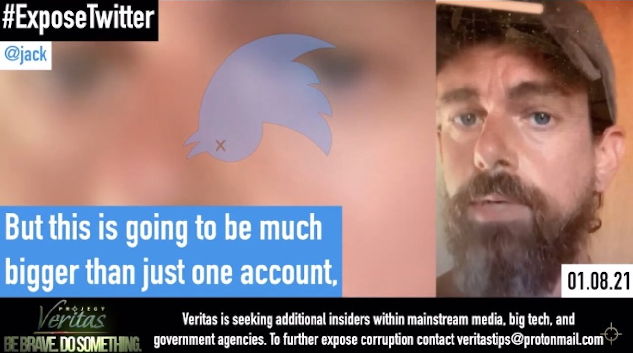Project veritas strikes twitter