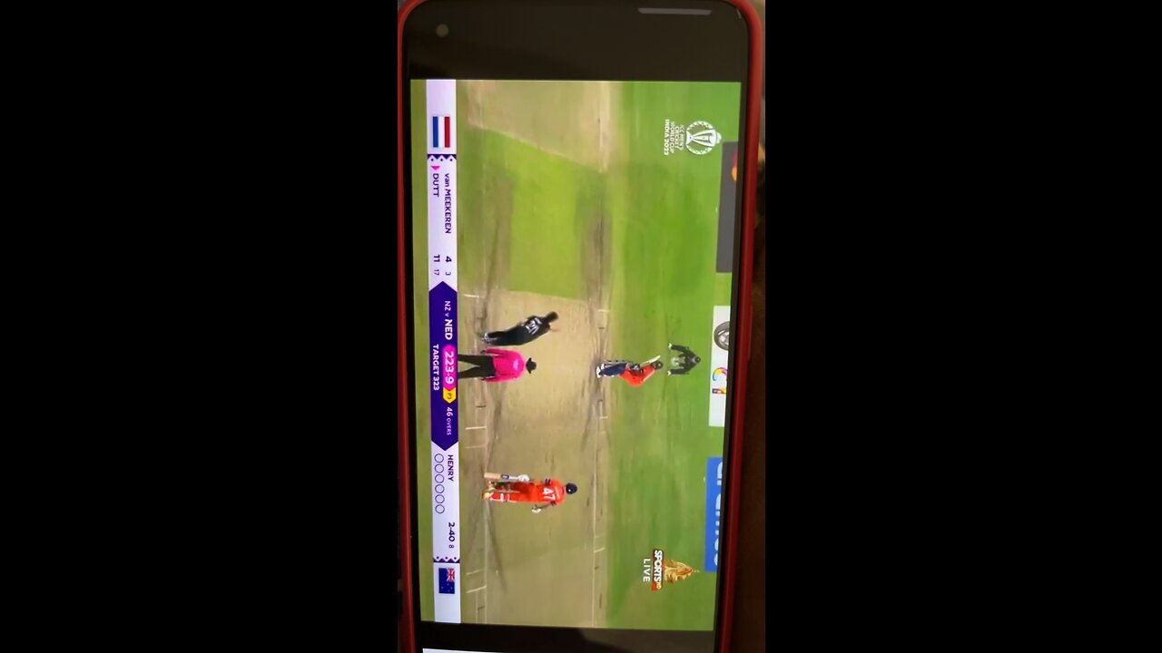 Netherland vs New Zealand cricket