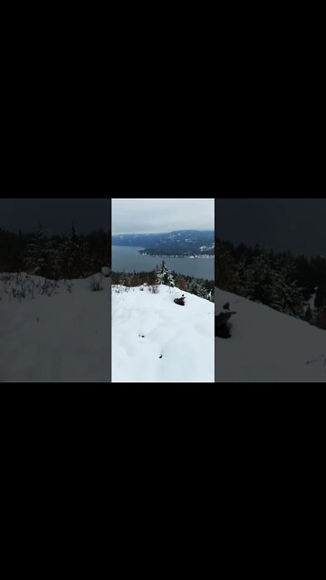 Beautiful View on my Hike. #shorts