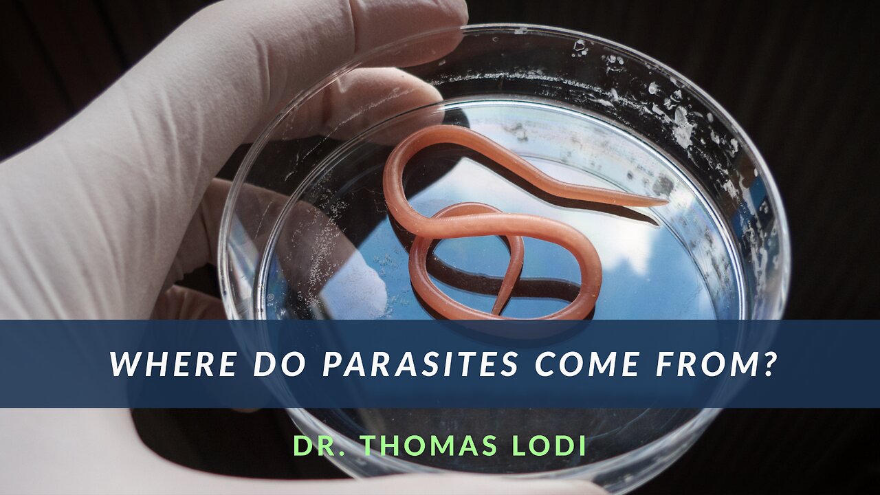 Where Do Parasites Come From?