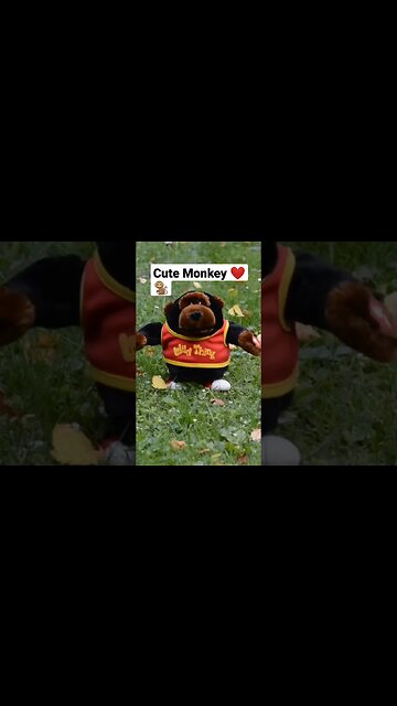 Little monkey cute video #fun #funny #funnyshorts #funnyvideo #shorts #monkey