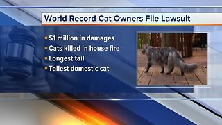 Farmington Hills couple files lawsuit after record-holding cats killed in fire